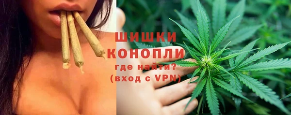 гашик Вуктыл