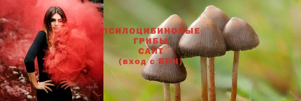 гашик Вуктыл