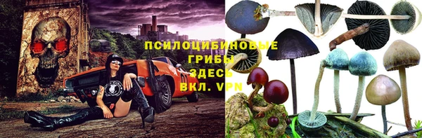 ешки Магас