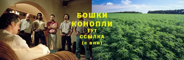 гашик Вуктыл