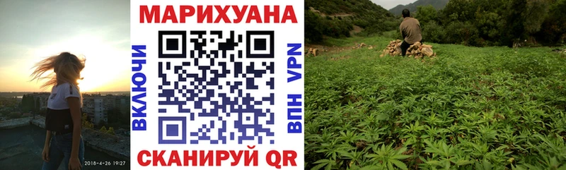 Конопля гибрид  Льгов 